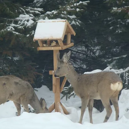 Bobrowa Dolina Nocleg ze śniadaniem 4*