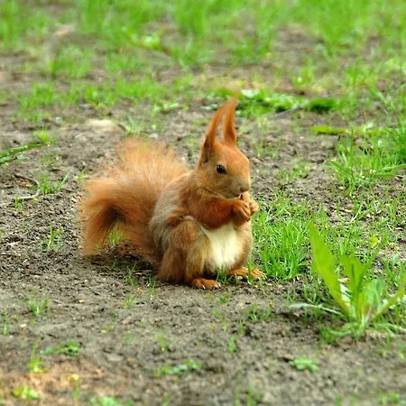 Bobrowa Dolina 4*