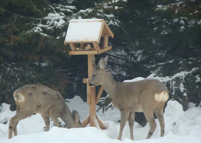 Bobrowa Dolina Couette-café 4*