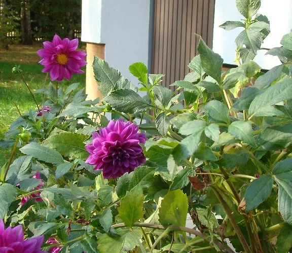 Couette-café Bobrowa Dolina Ryn (Warmian-Masurian)