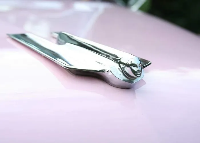 Couette-café Bobrowa Dolina Ryn (Warmian-Masurian)